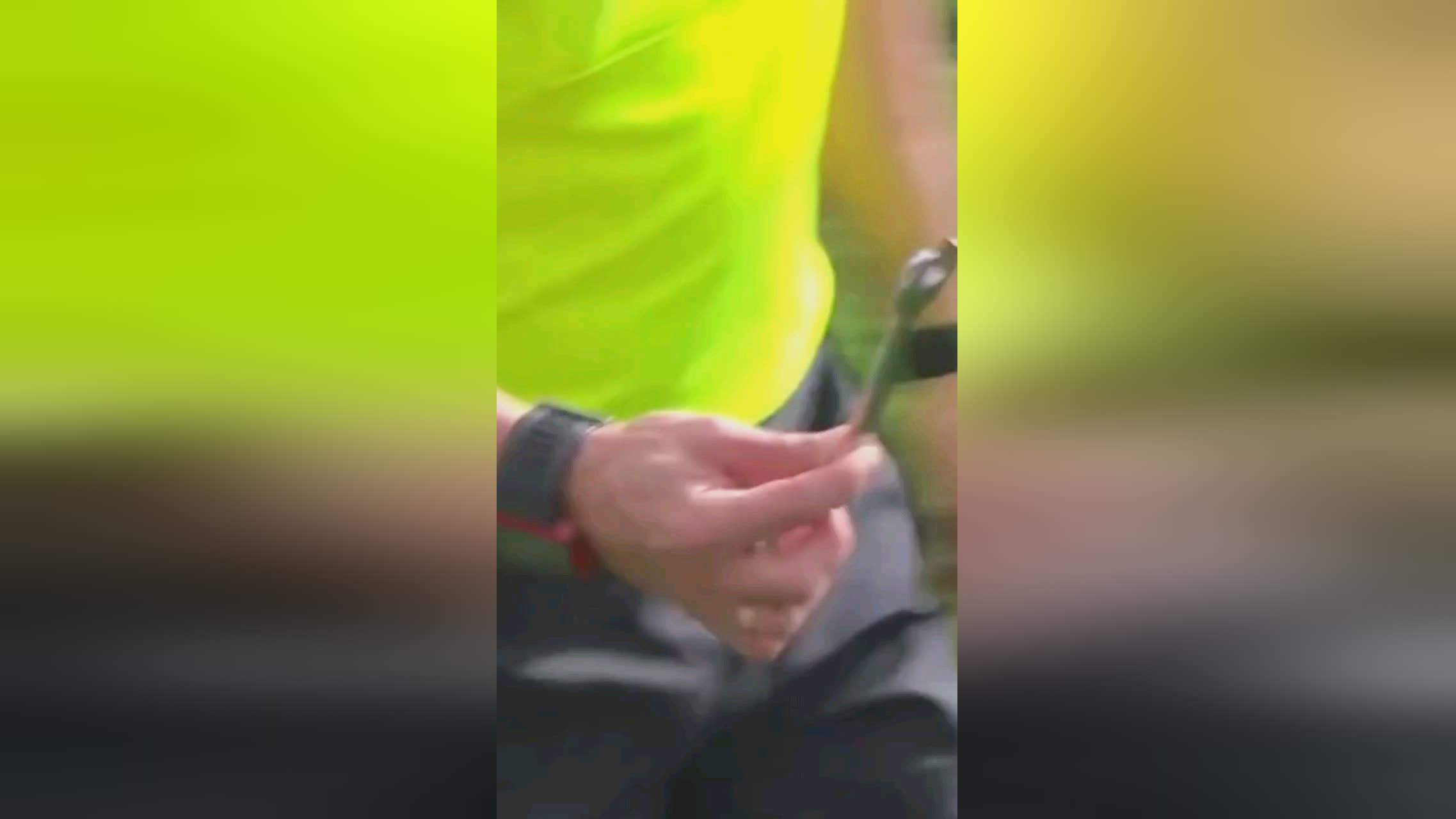 詹凤云-科研助理